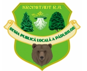 kronstadt-logo