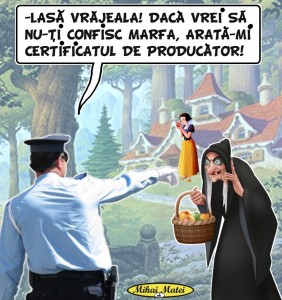 CERTIFICAT                    