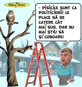 PISICA, POLITICIENII ȘI CATARATU 