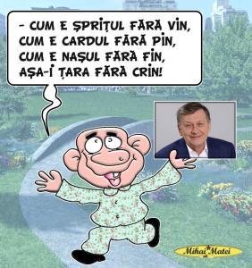 ȚARA LUI CRIN