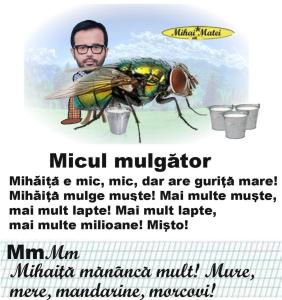 MIȘU GÂDILICI 