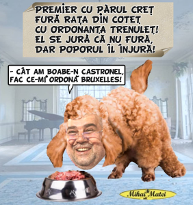 JAVRA de BUZĂU