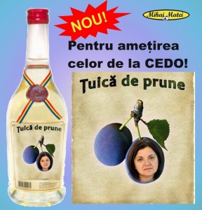 prunaCEDO